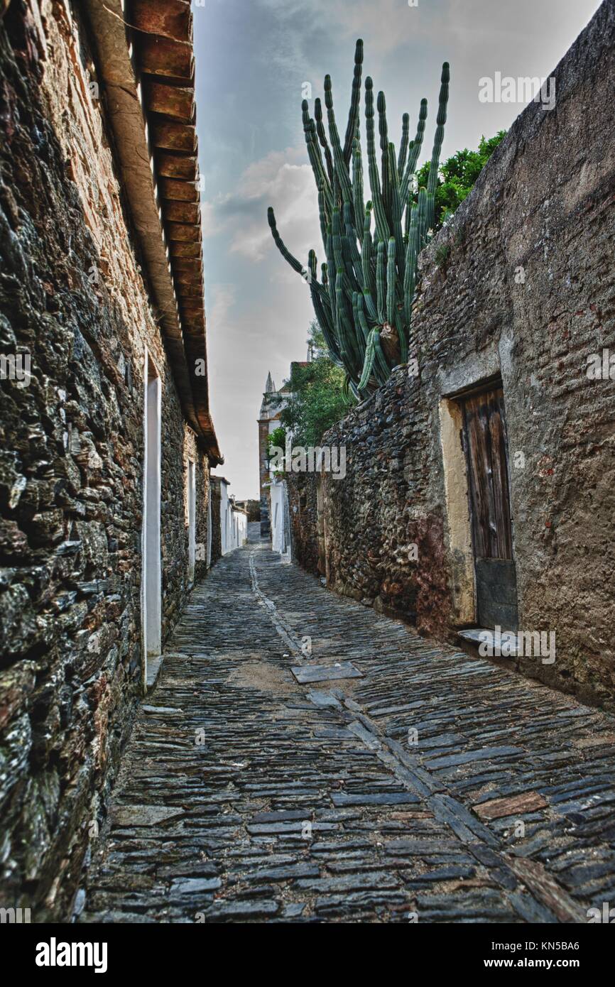 Magnifique village de Monsaraz ; rue traditionnelle avec de petites maisons blanches aux tuiles rouges et une vue typique du sud du pays. Banque D'Images