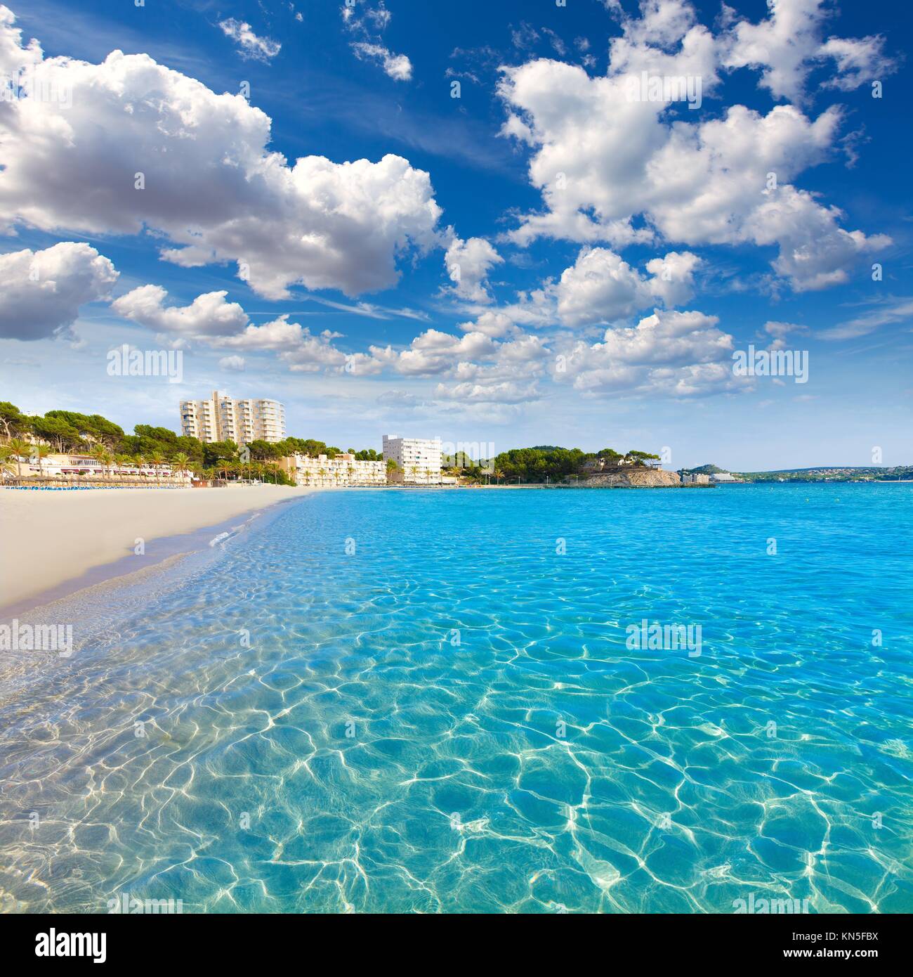 Platja Majorque Playa de la plage de Palmira à Calvia Majorque Îles  Baléares de l'Espagne Photo Stock - Alamy