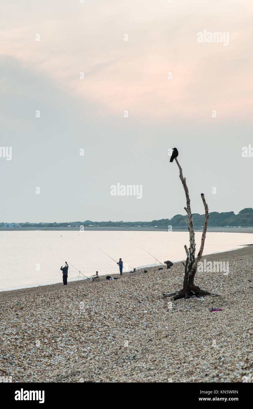 Une scène sur Stokes Bay Beach avec un corbeau en haut d'un arbre mort et les pêcheurs sur la rive que le soleil se cache derrière un gros nuage gris avant de régler. Banque D'Images