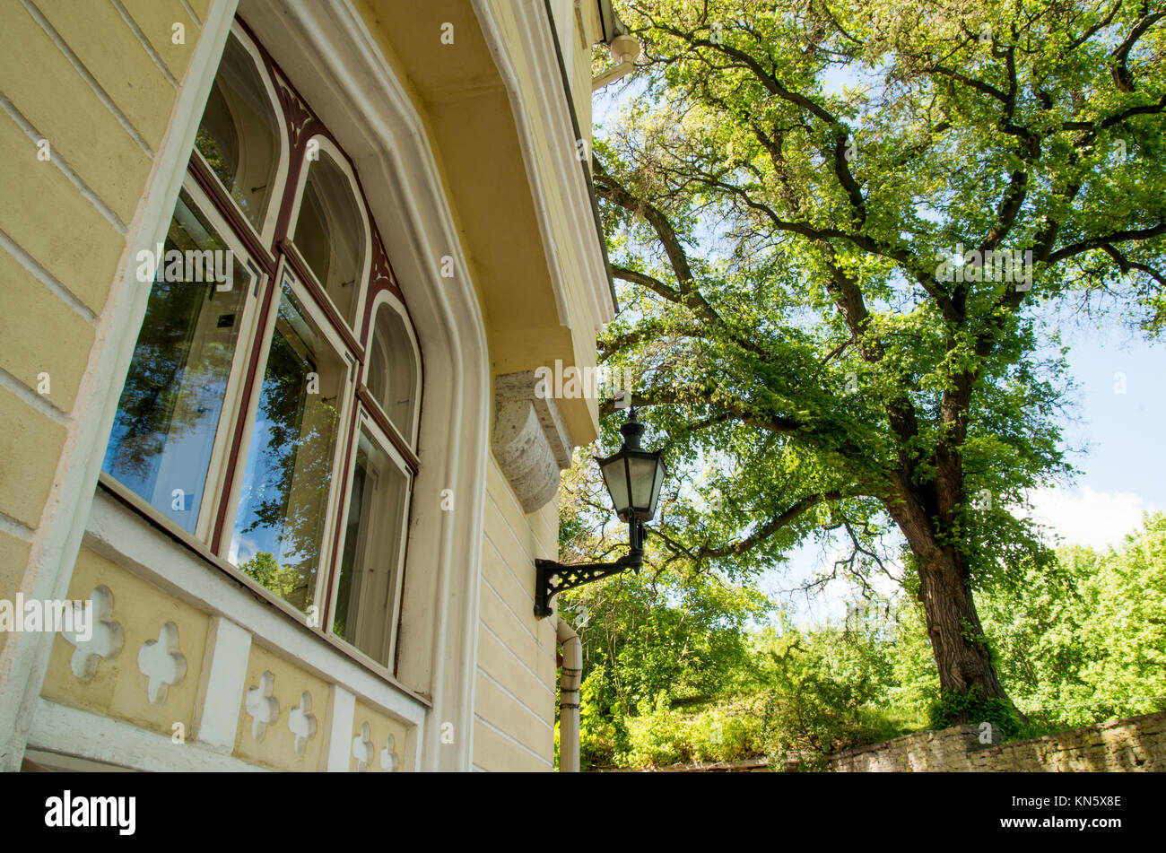 Une scène dans la vieille ville de Tallinn. Une grande fenêtre d'un vieux bâtiment jaune, noir lanterne et un grand arbre à côté. Banque D'Images