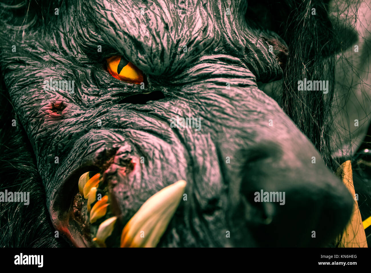 Masque Halloween effrayant de Loup Costume Prop Banque D'Images