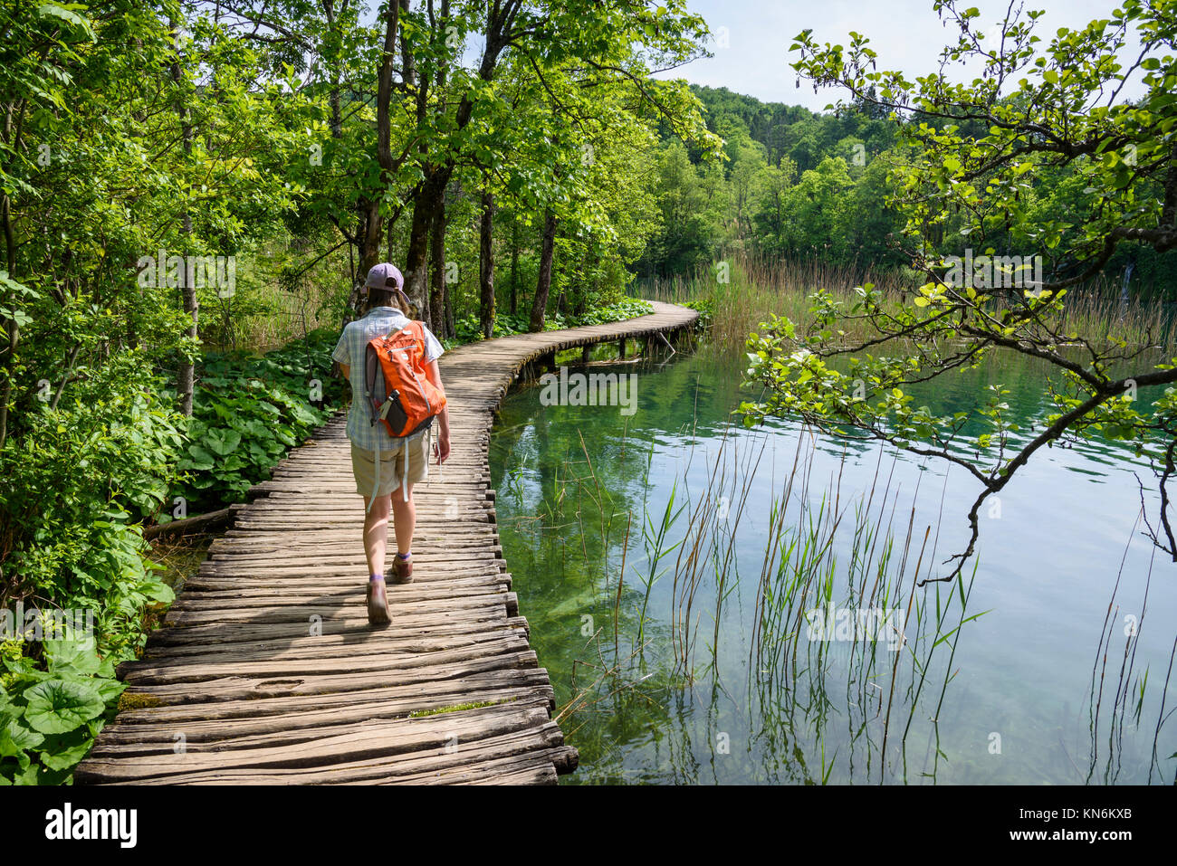 La promenade, le parc national des Lacs de Plitvice, Croatie Banque D'Images