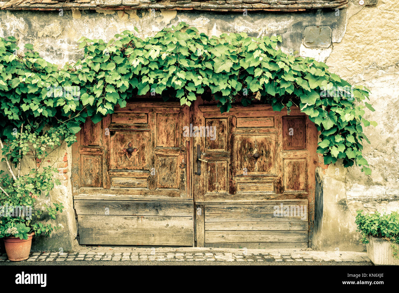 Vieille porte en bois avec vigne à Zagreb, Croatie Banque D'Images