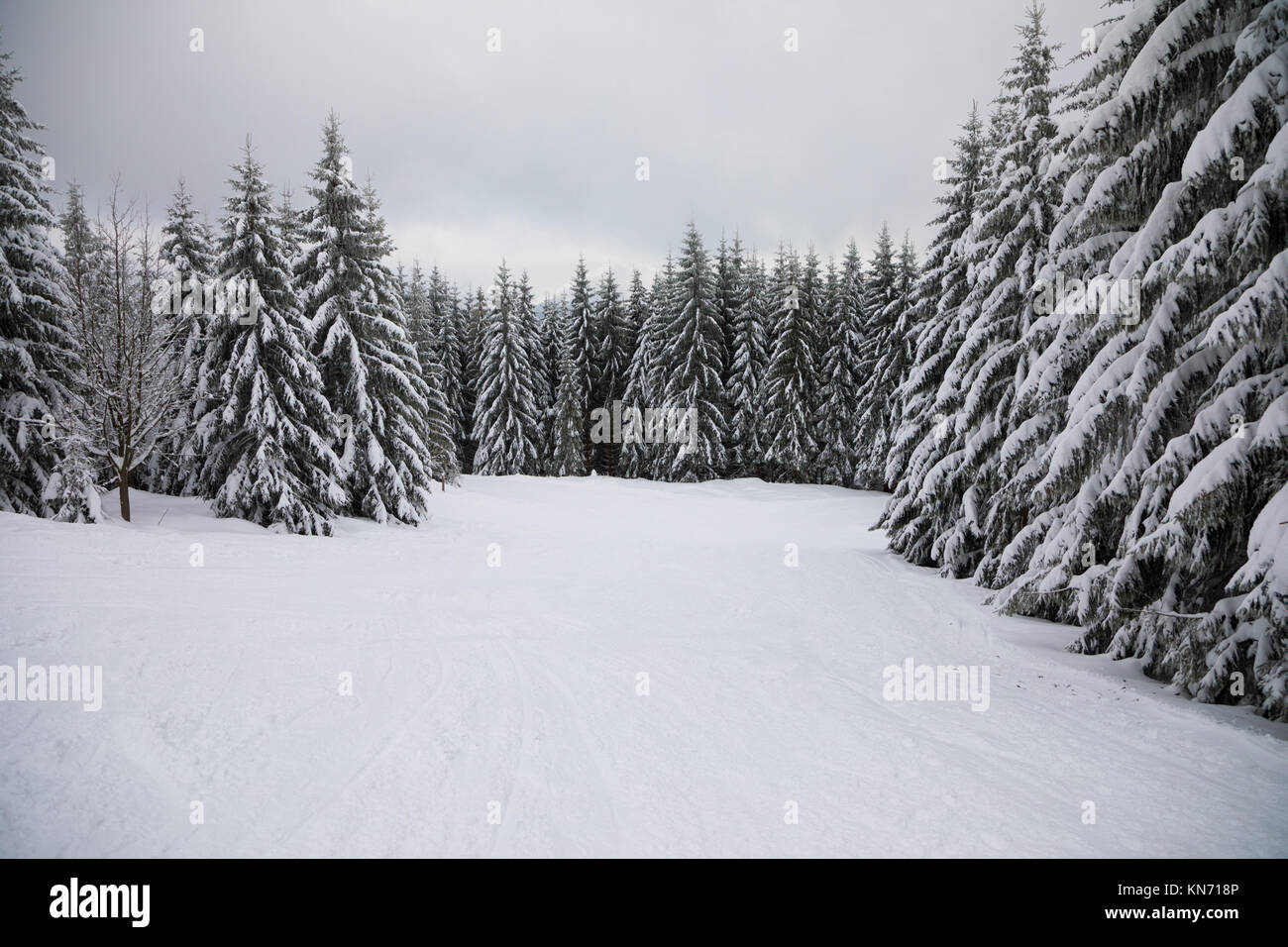 Paysage D Hiver Avec Des Sapins Et De La Neige En Montagne Photo Stock Alamy Paysage D Hiver Avec Des Sapins Et De La Neige En Montagne Photo Stock Alamy
