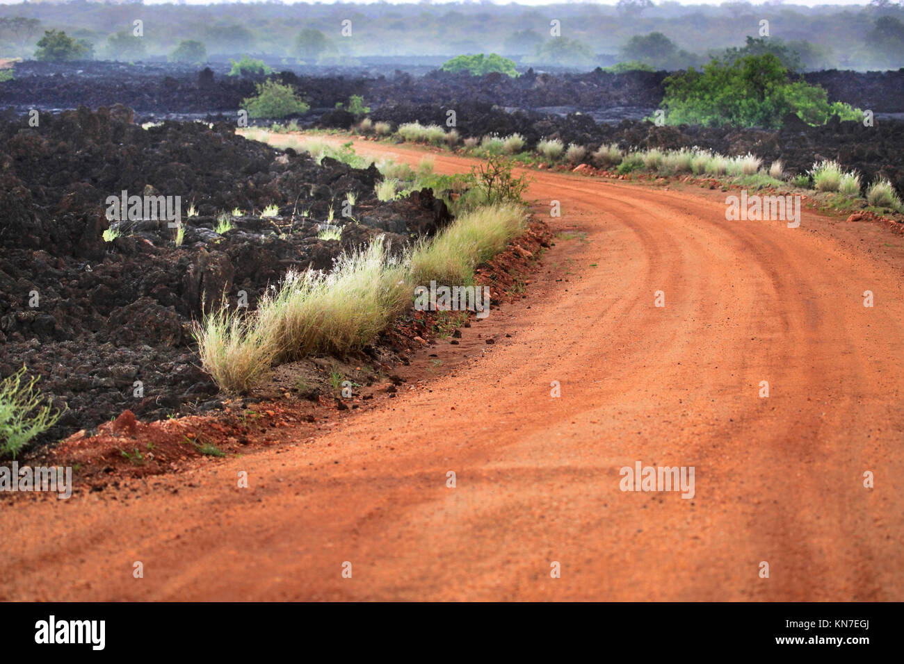 La lave volcanique figée dans l'est le parc national de Tsavo au Kenya Banque D'Images
