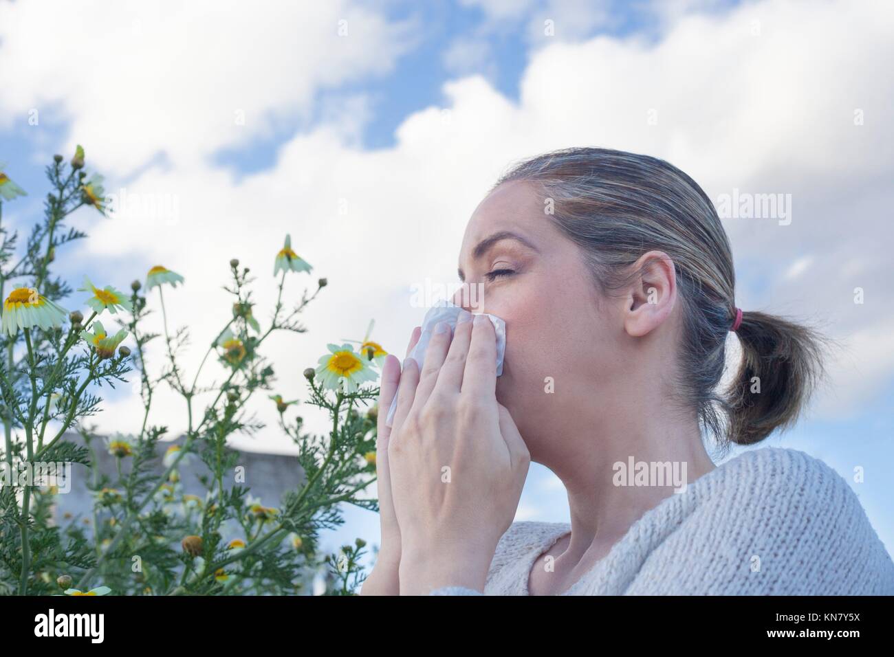 Jeune femme éternuements dans une prairie de fleurs Daisy. Elle est allergique aux fleurs. Banque D'Images
