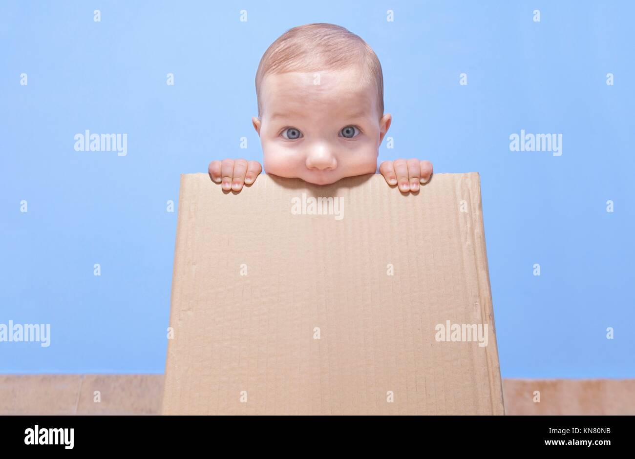Portrait of a cute baby jouant dans une boîte en carton brun. Banque D'Images