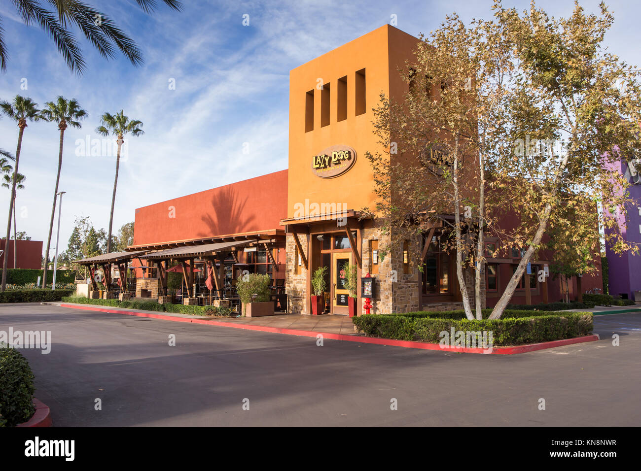 Lazy Dog Restaurant & Bar extérieur en Irvine Californie USA un chien friendly resraurant Banque D'Images