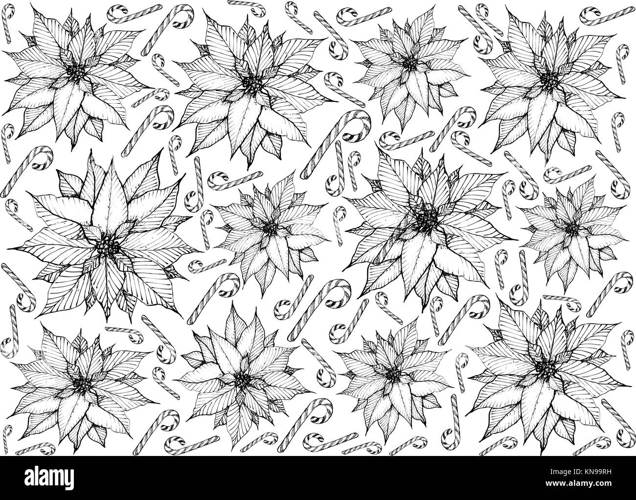 Illustration de fond de croquis dessinés à la main ou d'Euphorbia pulcherrima poinsettia noël plante avec canne de Noël, signe pour célébrer Noël isola Illustration de Vecteur