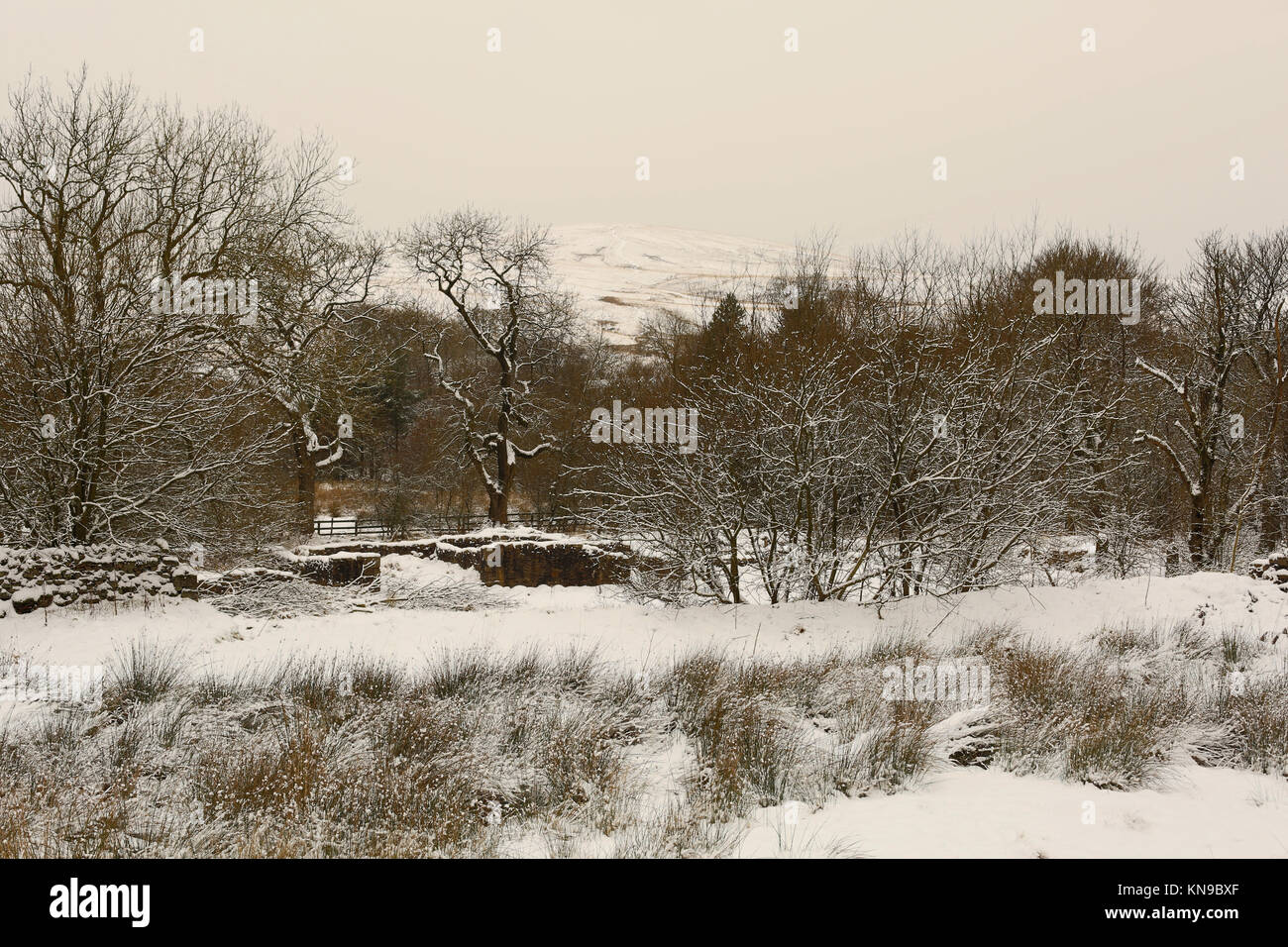 Les clées de bois et de l'Ouest Pennine Moors. Banque D'Images