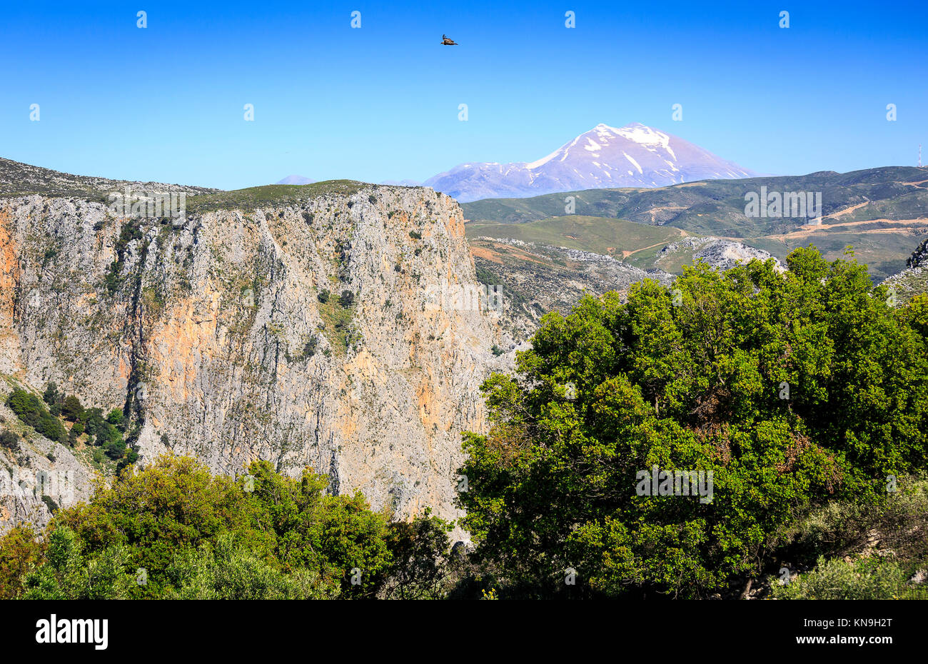 Vue de la gorge et le Mont Psiloritis près de Rethymnon, Crète, Grèce Banque D'Images