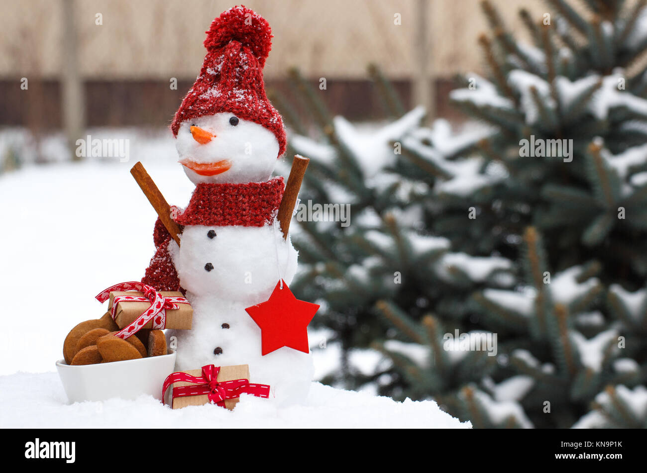 Drôle de bonhomme de neige dans l'écharpe en laine et chapeau avec cadeau  pour Noël ou la Saint Valentin et gingerbreads Photo Stock - Alamy