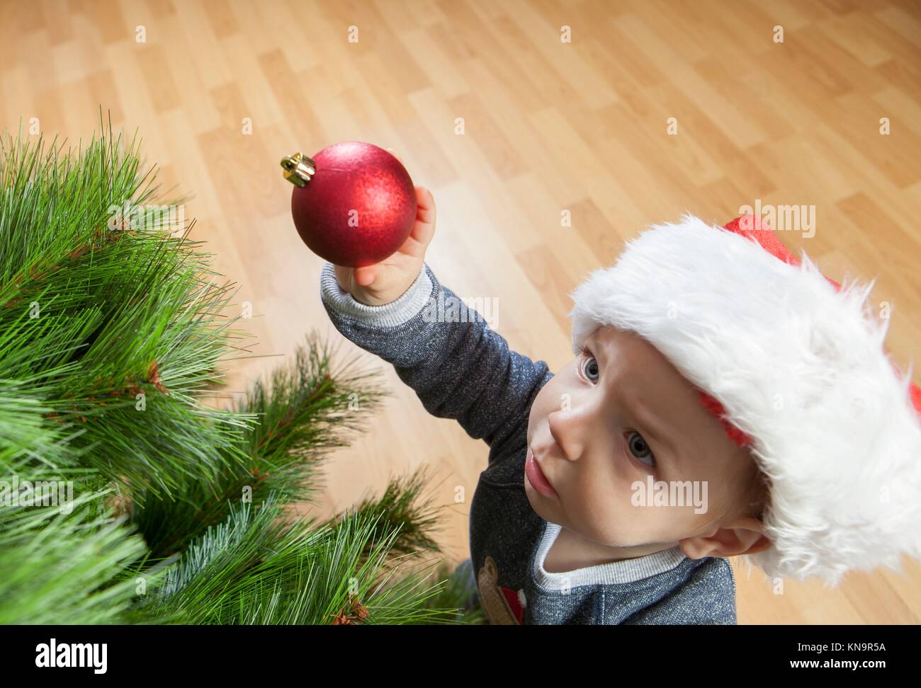 Little baby boy décore Arbre de Noël avec une boule rouge. Banque D'Images