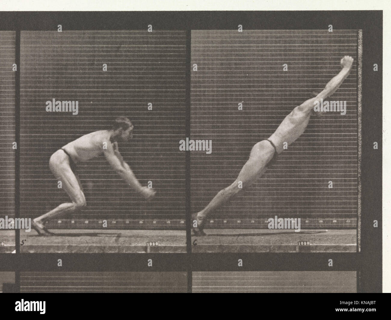 Cette étude électro-photographique enregistre les phases consécutives de la locomotion animale, fournissant un aperçu historique de l'analyse scientifique du mouvement au XIXe siècle. Banque D'Images