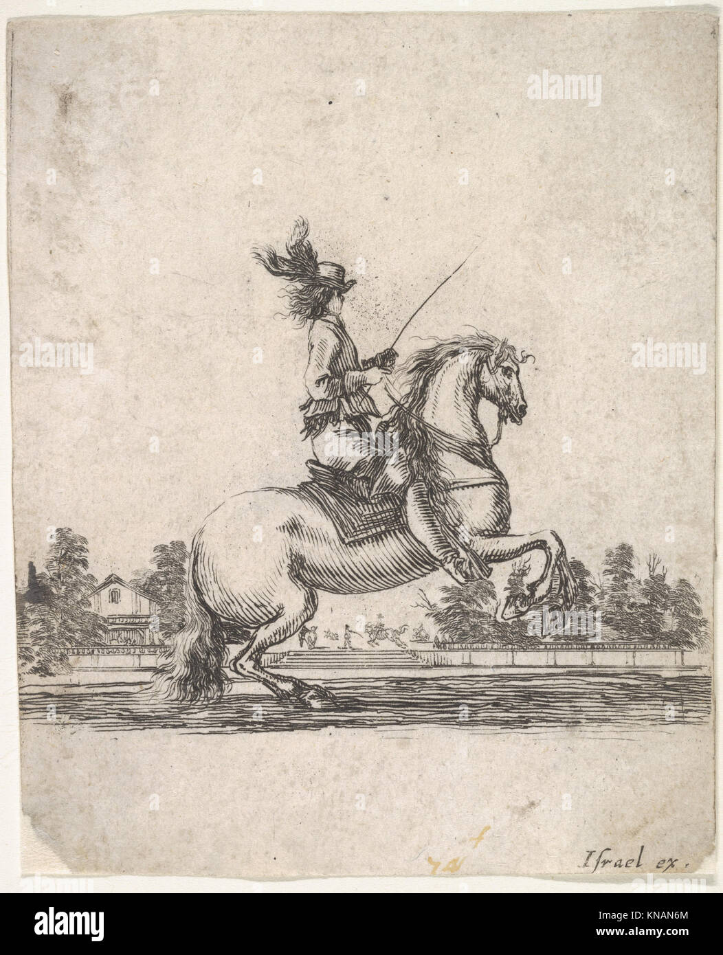 rencontre cavalier