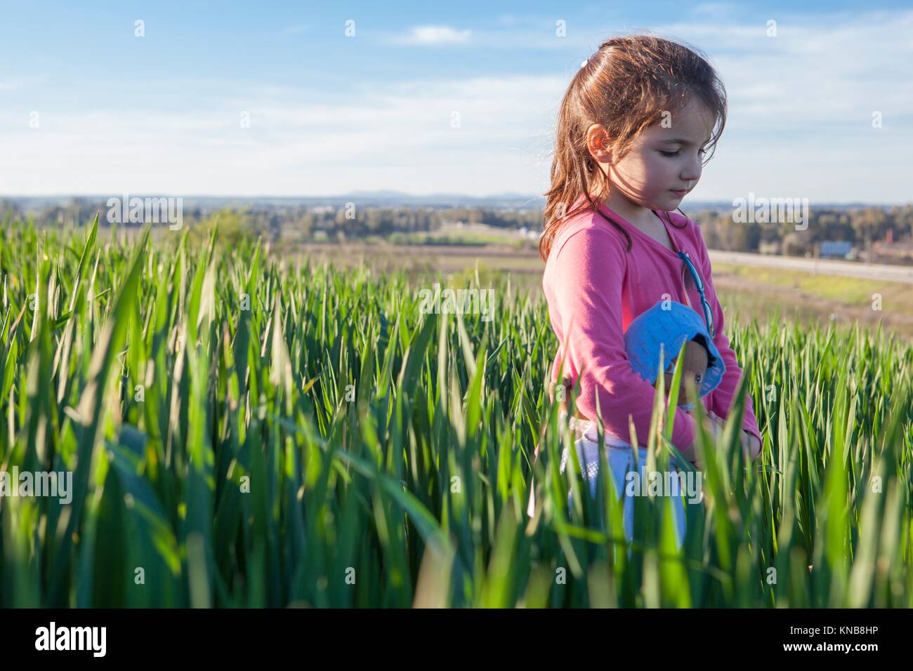 Petite fille et sa poupée marche à travers champs de céréales vert au coucher du soleil, l'Espagne. Banque D'Images