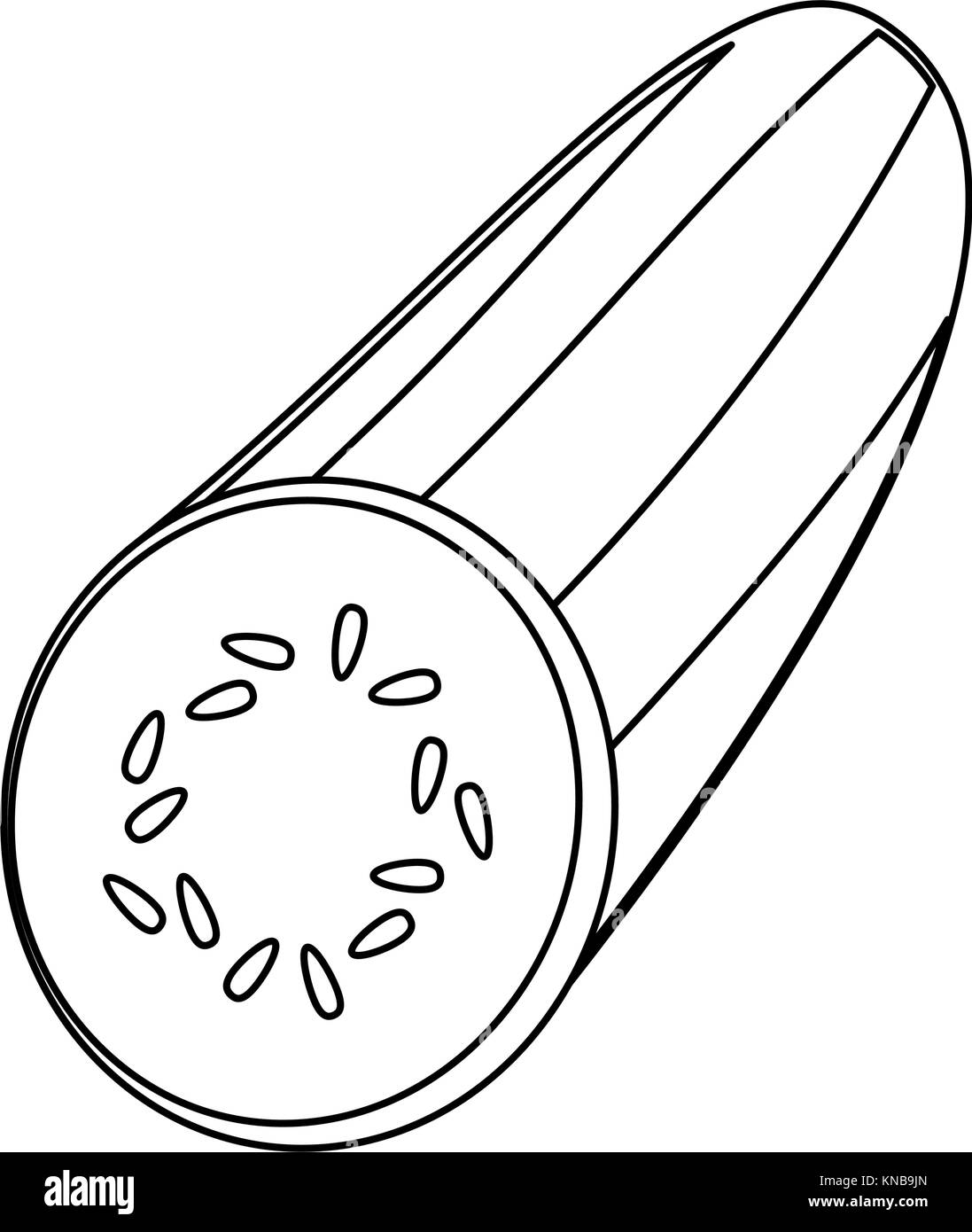 Tranches de concombre frais Illustration de Vecteur