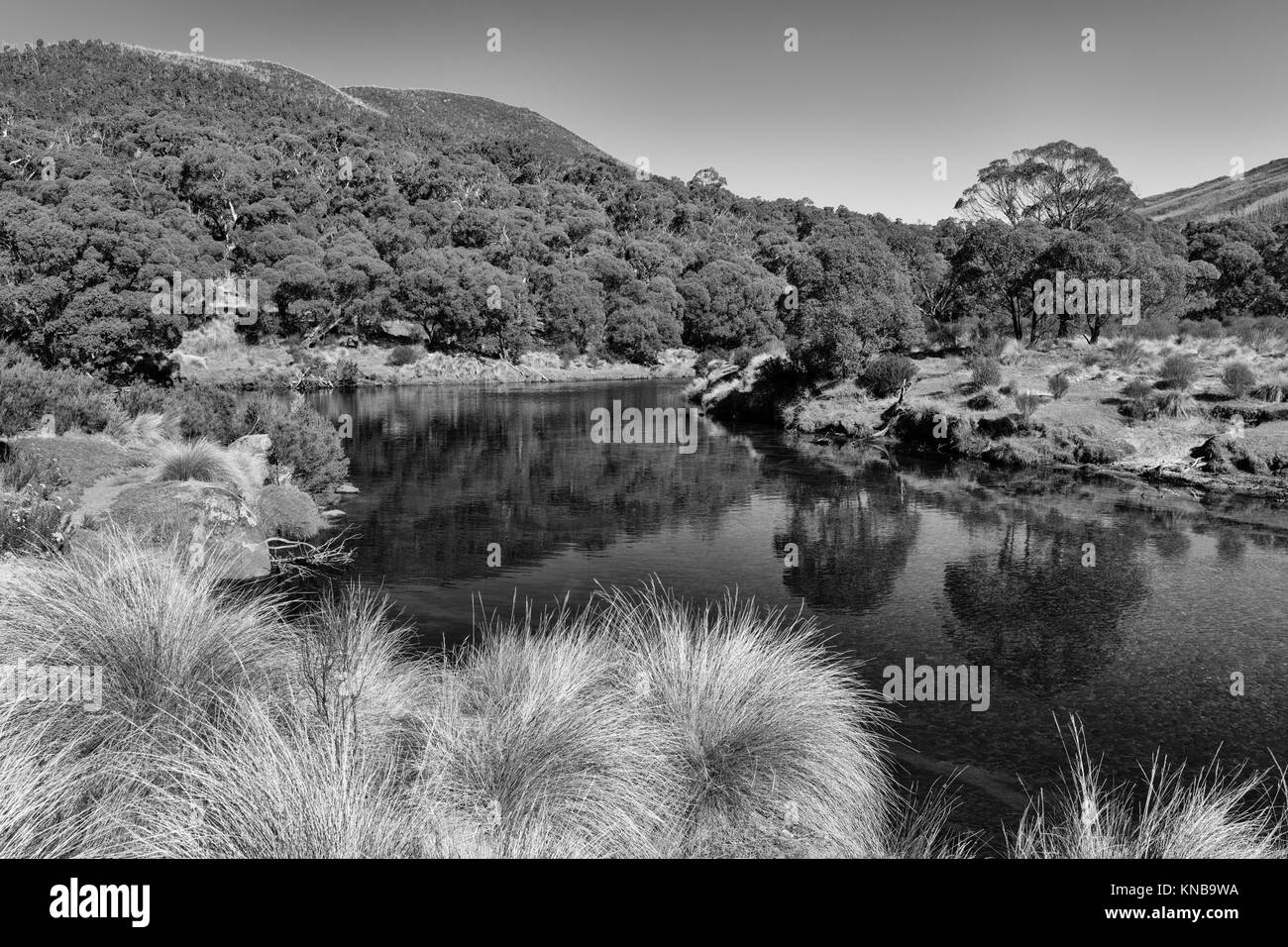 Image en noir et blanc de Thredbo Rivière à Thredbo mottes Département de parc national dans les montagnes de neige dans le sud de la Nouvelle-Galles du Sud, Australie. Banque D'Images