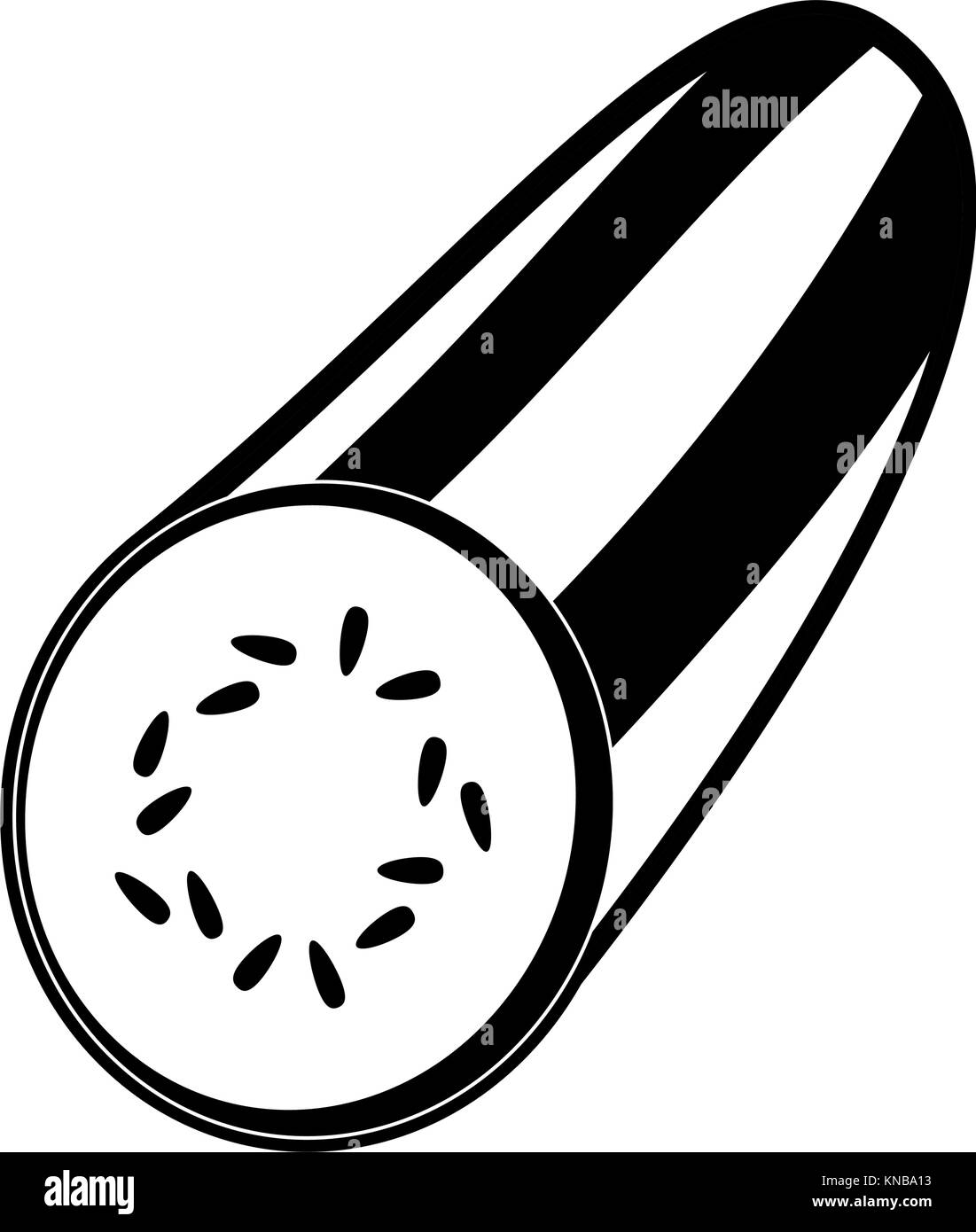 Tranches de concombre frais Illustration de Vecteur