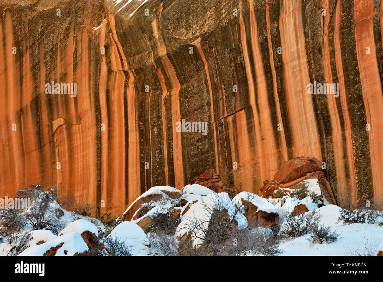 Les murs de canyon avec vernis du désert dans la gorge, Capitol Capitol Reef National Park, Utah Banque D'Images
