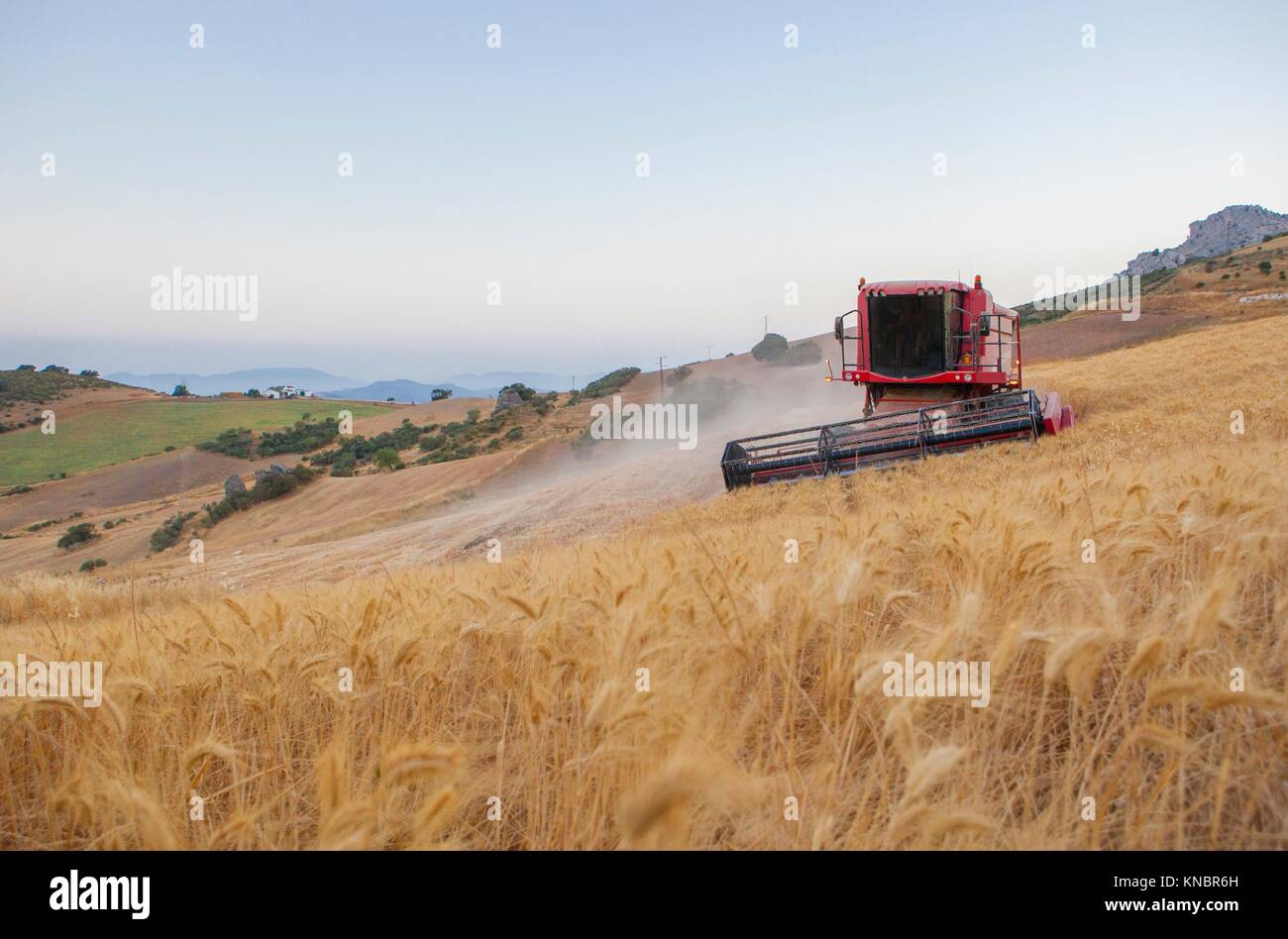 Collecte d'ensileuse à blé de montagne de Antequera, Malaga, Espagne. Combiner la machine à tourner manœuvre. Banque D'Images
