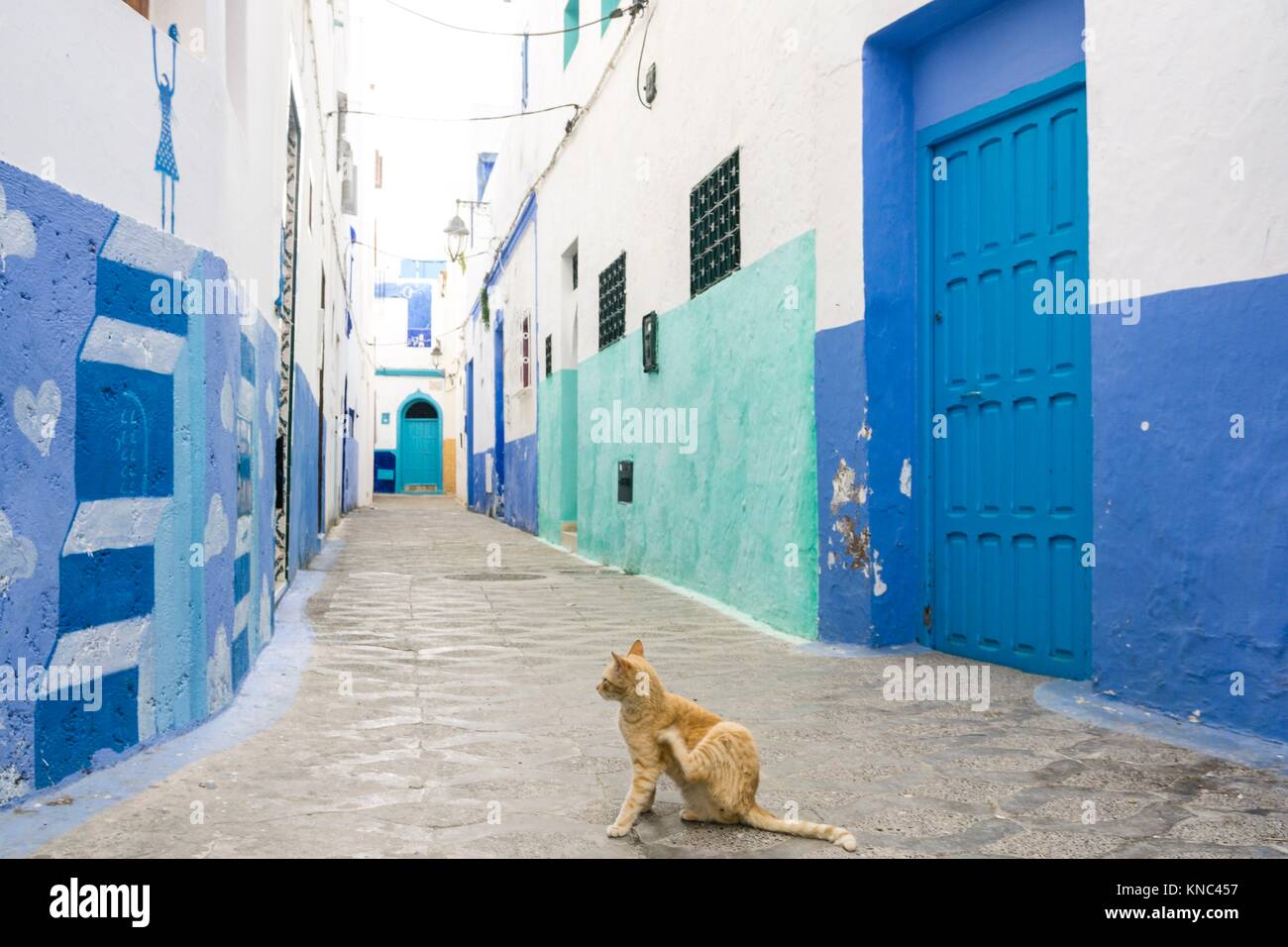 Médina, Asilah, Maroc, Afrique du Nord Banque D'Images