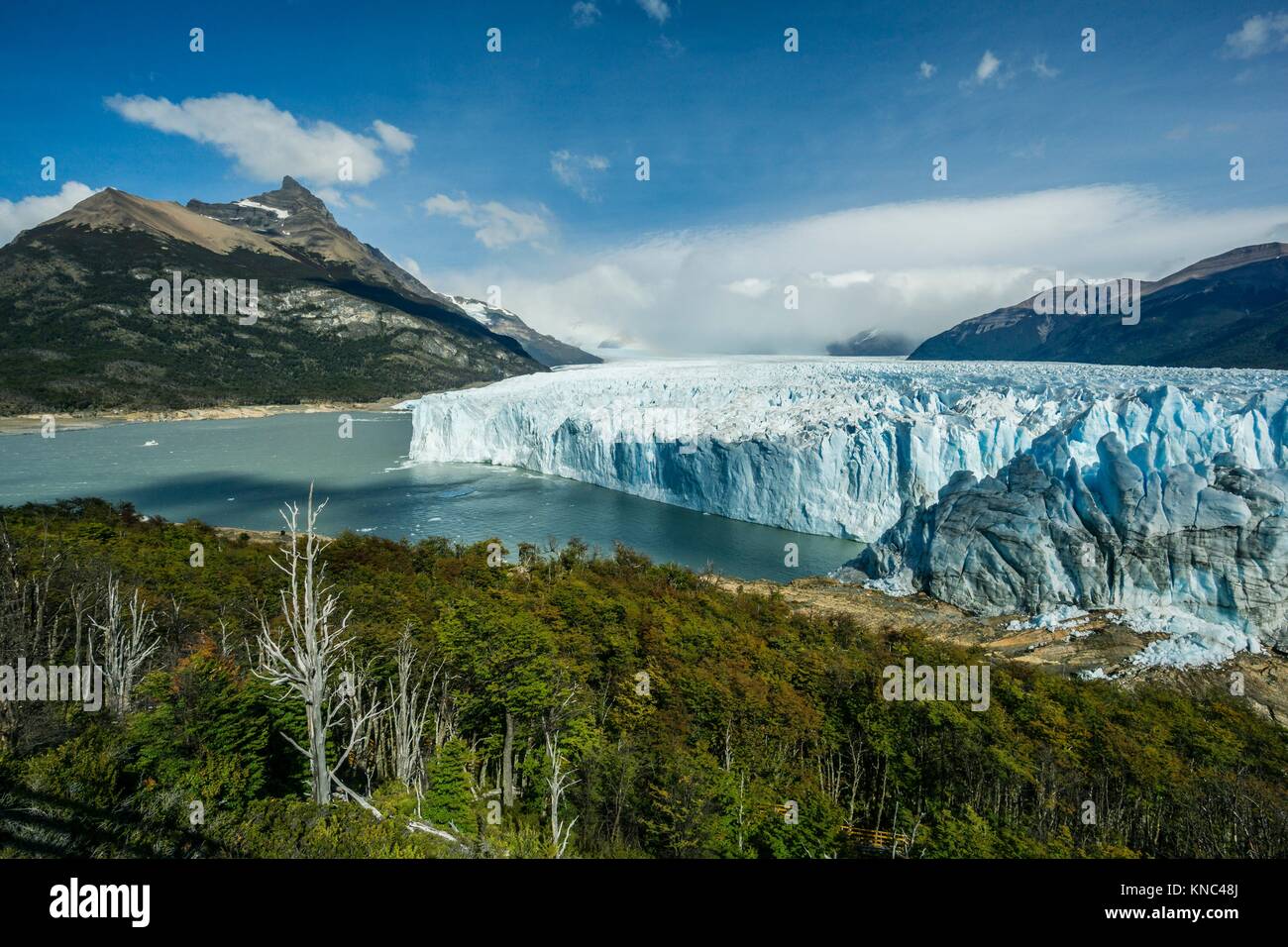 Glaciar Perito Moreno, Parque Nacional Los Glaciares, departamento Lago Argentino, provincia de Santa Cruz, Patagonie, Argentine. Banque D'Images
