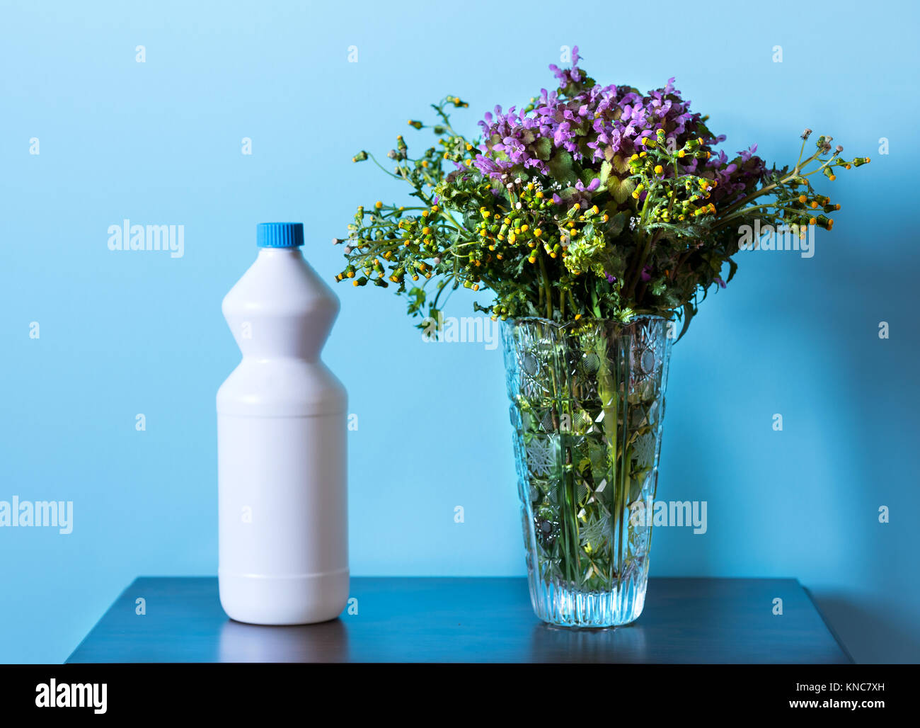 Flower vase bouteille en plastique blanc et Banque D'Images