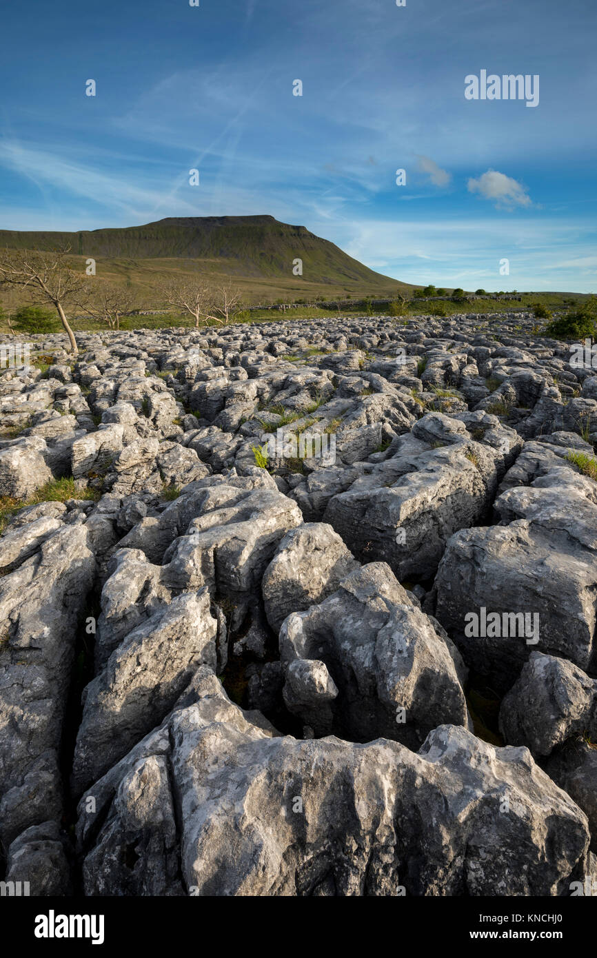 Ingleborough ; De Souther écailles ; Yorkshire ; UK Banque D'Images