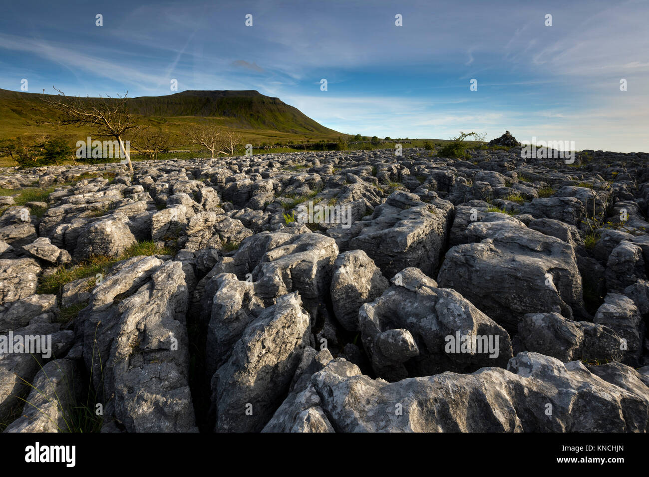 Ingleborough ; De Souther écailles ; Yorkshire ; UK Banque D'Images