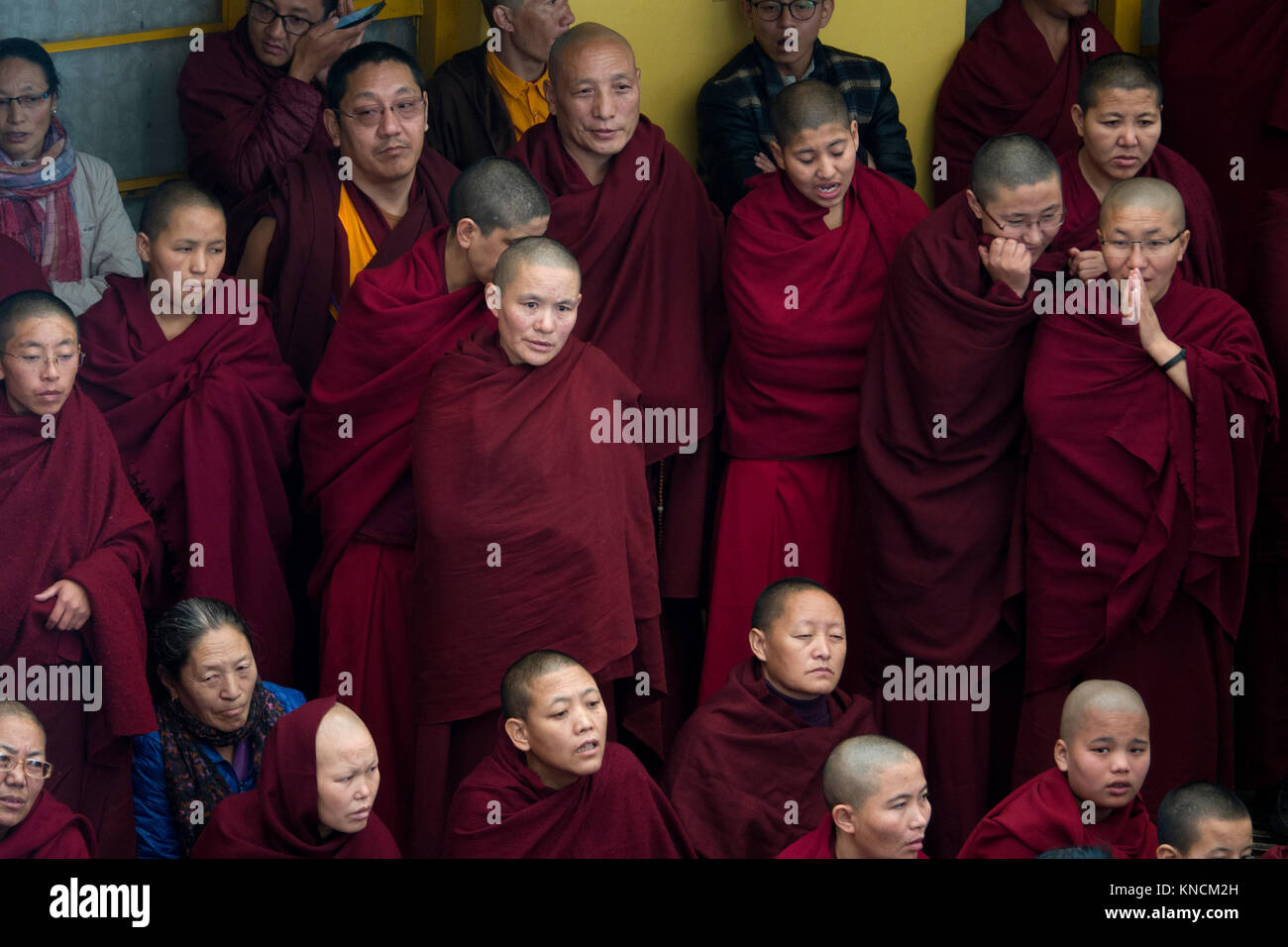 Moines tibétains se réunissent au dalaï-Lama Temple complexe de Mcleod Ganj, Inde Banque D'Images