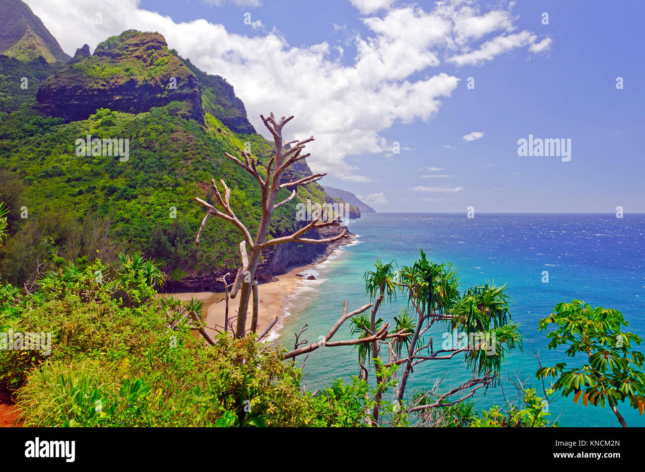 Hanakapi'ai plage sur le Kalalau trail à Hawaï Banque D'Images