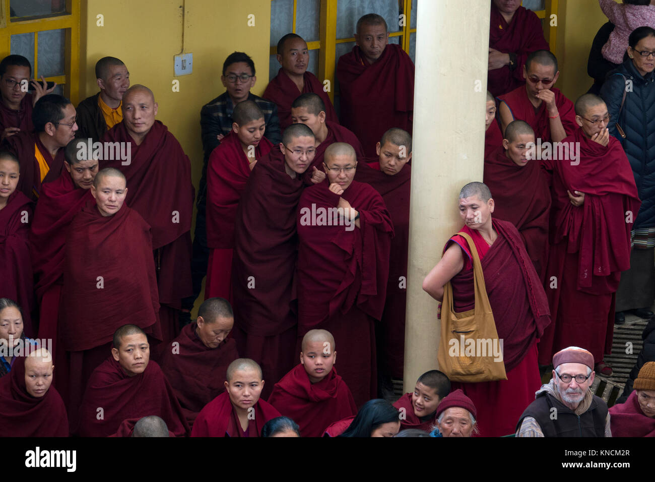 Moines tibétains se réunissent au dalaï-Lama Temple complexe de Mcleod Ganj, Inde Banque D'Images