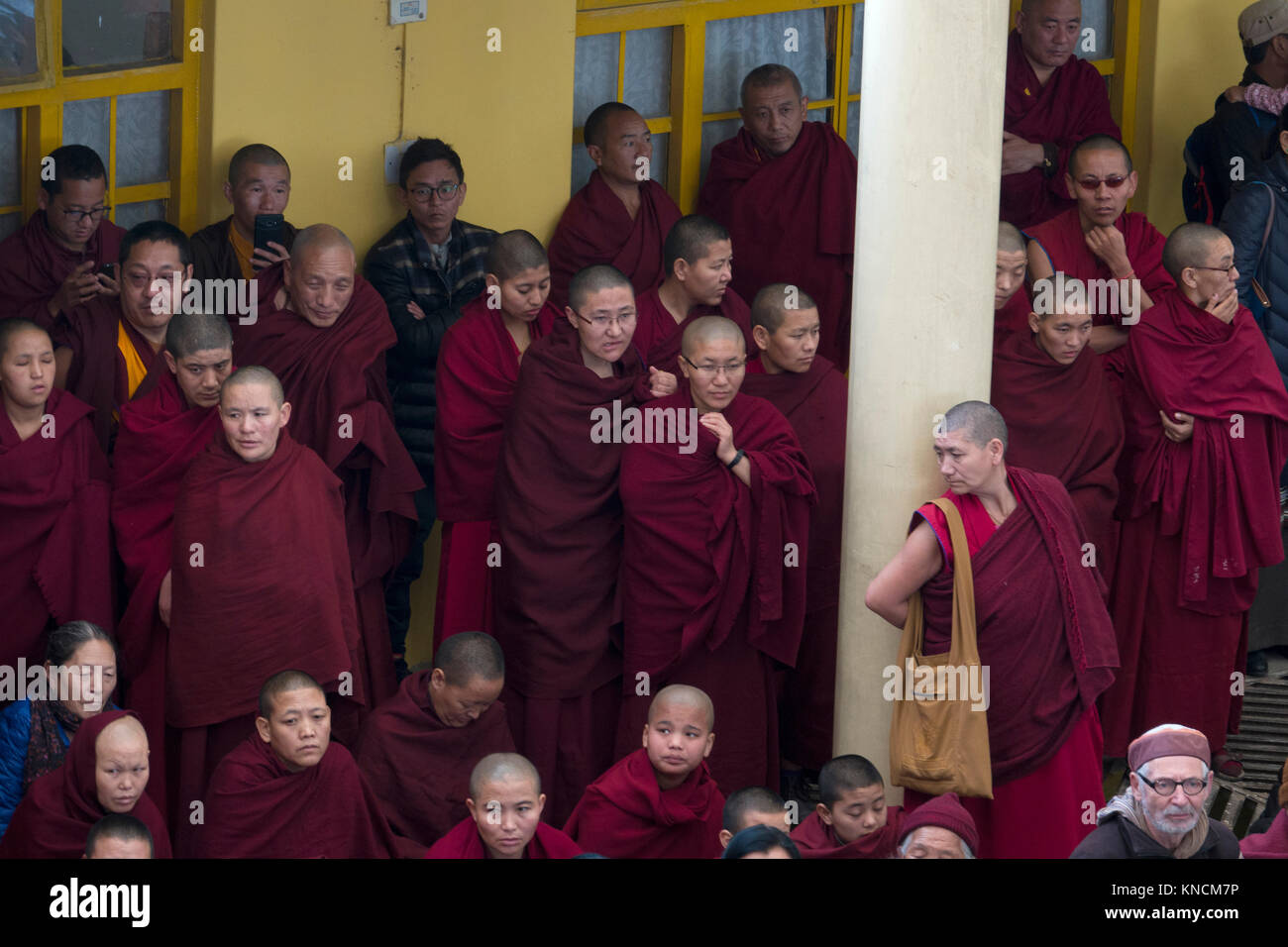 Moines tibétains se réunissent au dalaï-Lama Temple complexe de Mcleod Ganj, Inde Banque D'Images