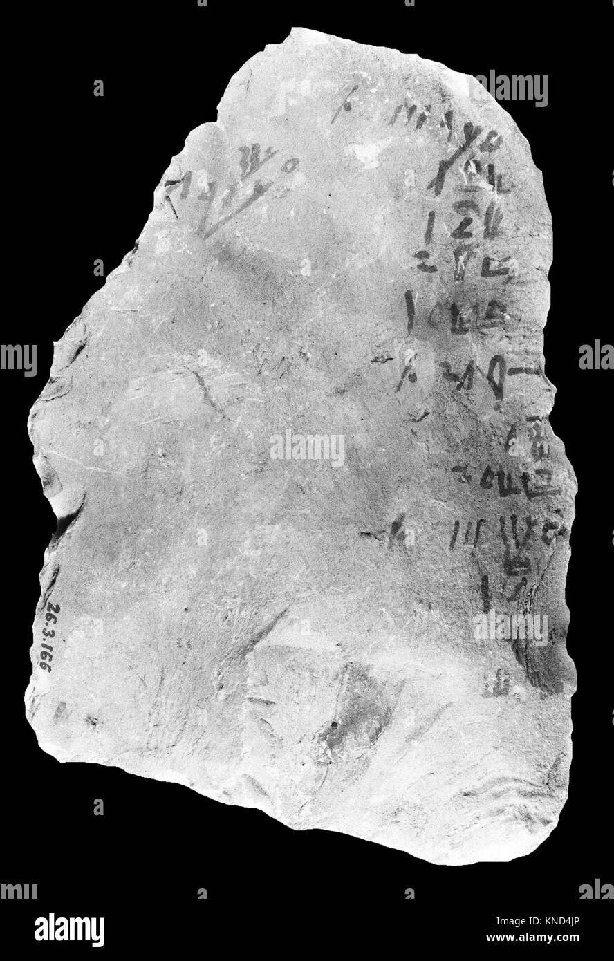 Cet ostracon hiératique contient une seule colonne d'inscription, fournissant un aperçu de l'écriture égyptienne antique, des matériaux et des pratiques culturelles comme un artefact significatif. Banque D'Images