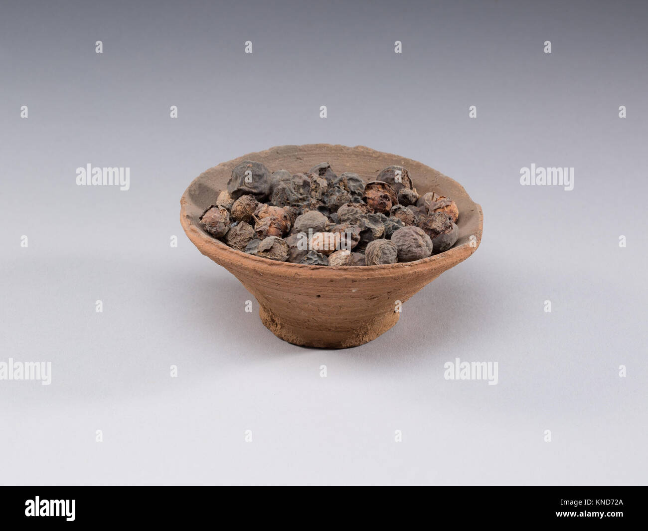 Ancien bol de poterie égyptien daté de 1479 à 1458 av. J.-C. contenant des fruits de Nebekh, illustrant l'artisanat et la vie quotidienne dans l'Antiquité. Banque D'Images