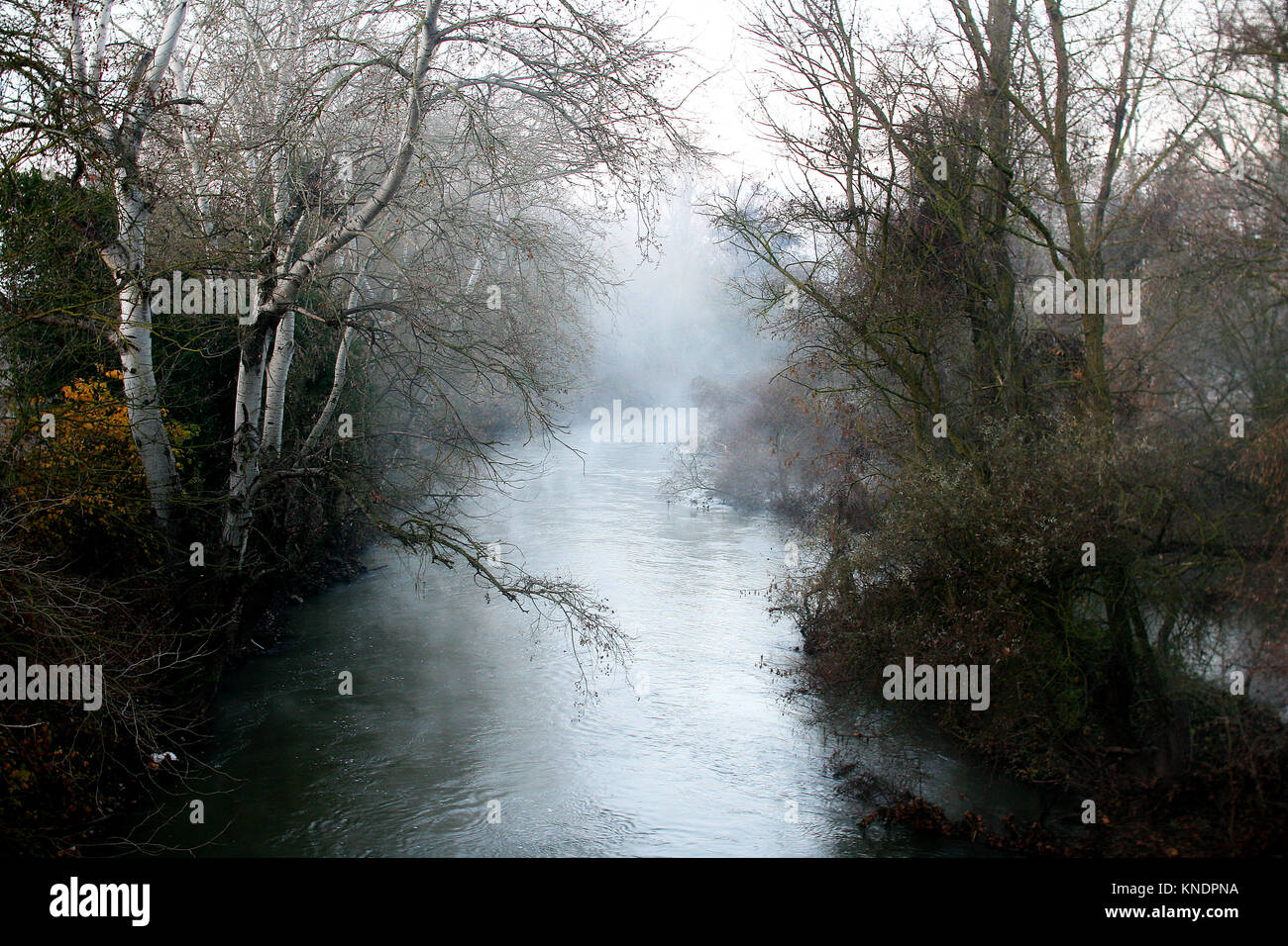 Le brouillard du matin, rivière du temps d'hiver Banque D'Images