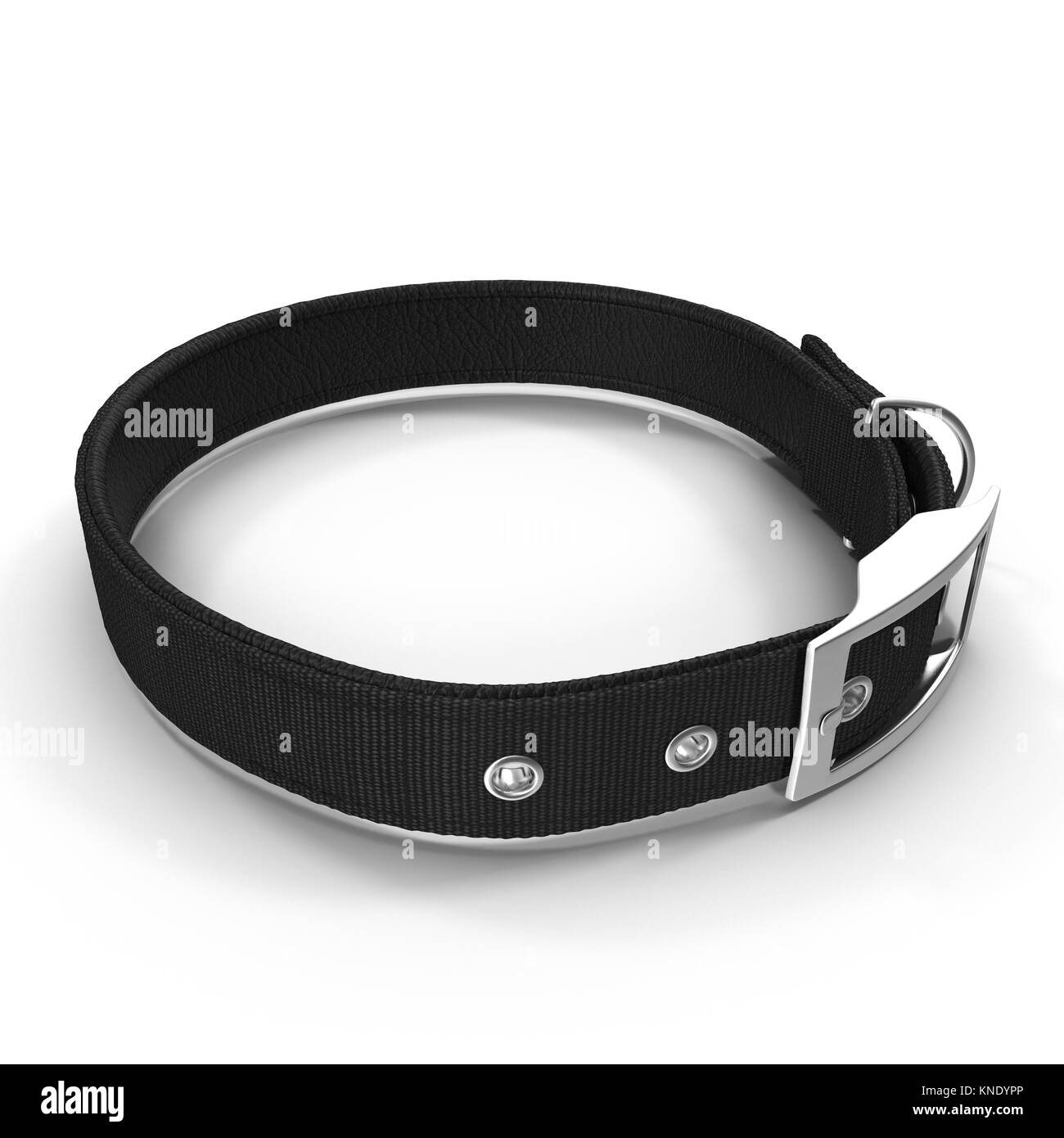 Collier d'animal sur blanc. Couleur noir. Vue de côté. 3D illustration Banque D'Images