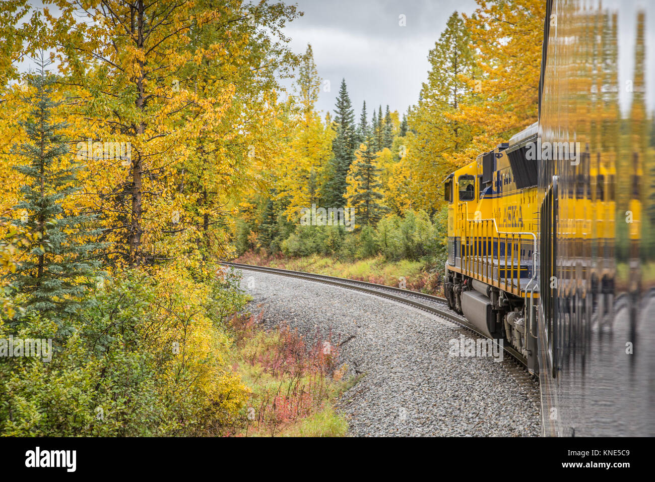 McKinley Explorer Train sur l'Alaska Railroad se dirigeant vers le Parc National Denali à l'automne (automne) Banque D'Images