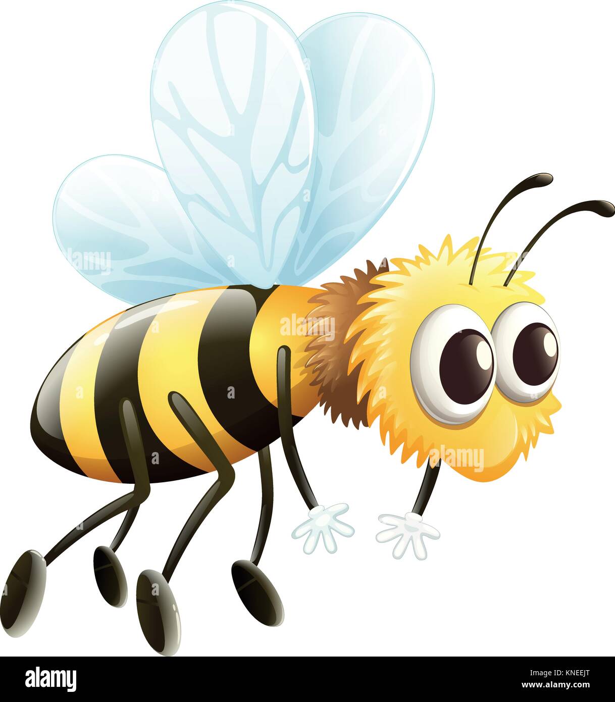 Illustration d'une abeille sur un fond blanc Illustration de Vecteur