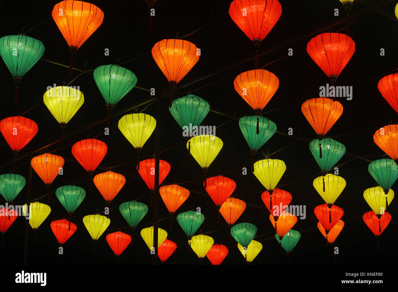 Low angle view of illuminated lampions suspendus dans un arbre Banque D'Images