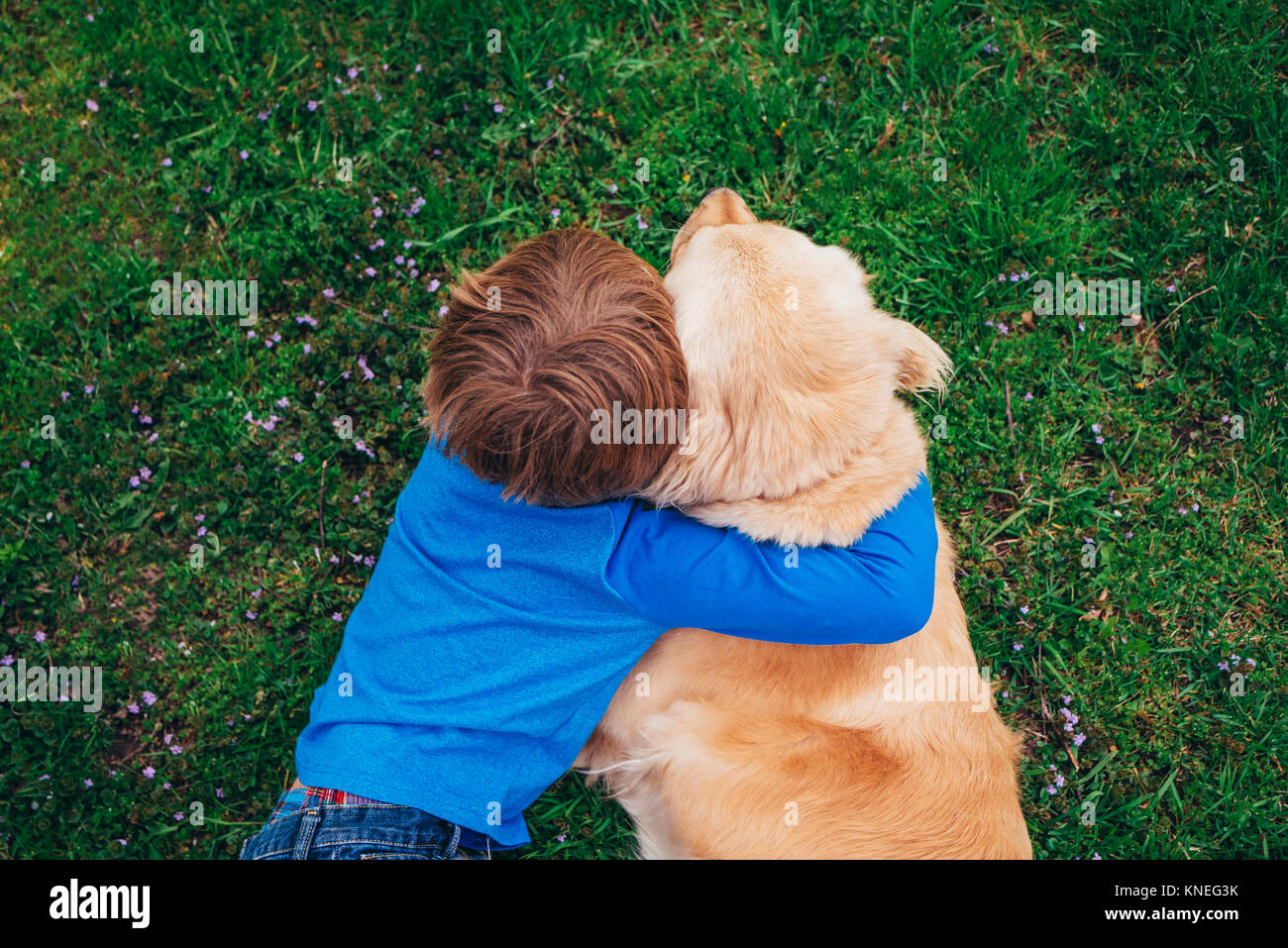Vue aérienne d'une boy hugging son golden retriever dog Banque D'Images