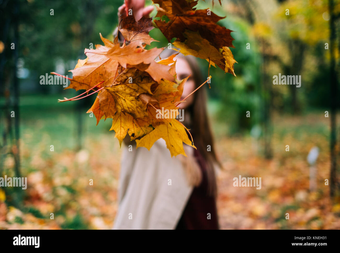 Woman throwing les feuilles d'automne dans l'air Banque D'Images