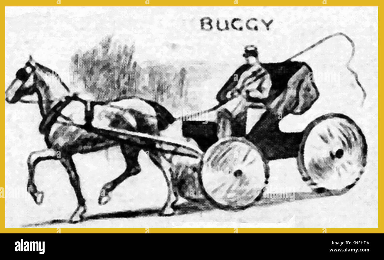 Transport de chevaux - 1940 Une illustration montrant un homme au volant d'un buggy Banque D'Images