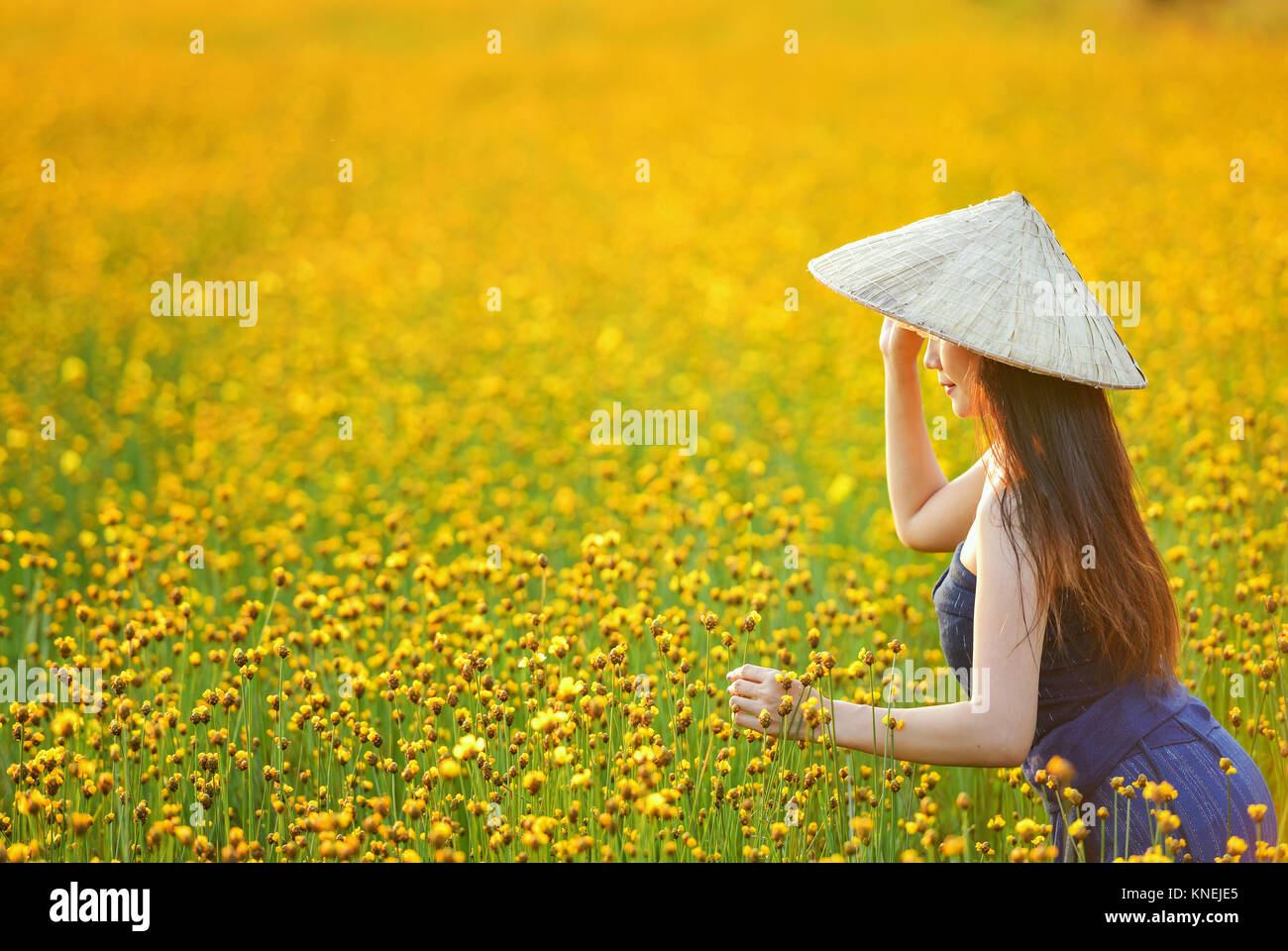 Belle femme dans un champ portant un chapeau conique, Thaïlande Banque D'Images