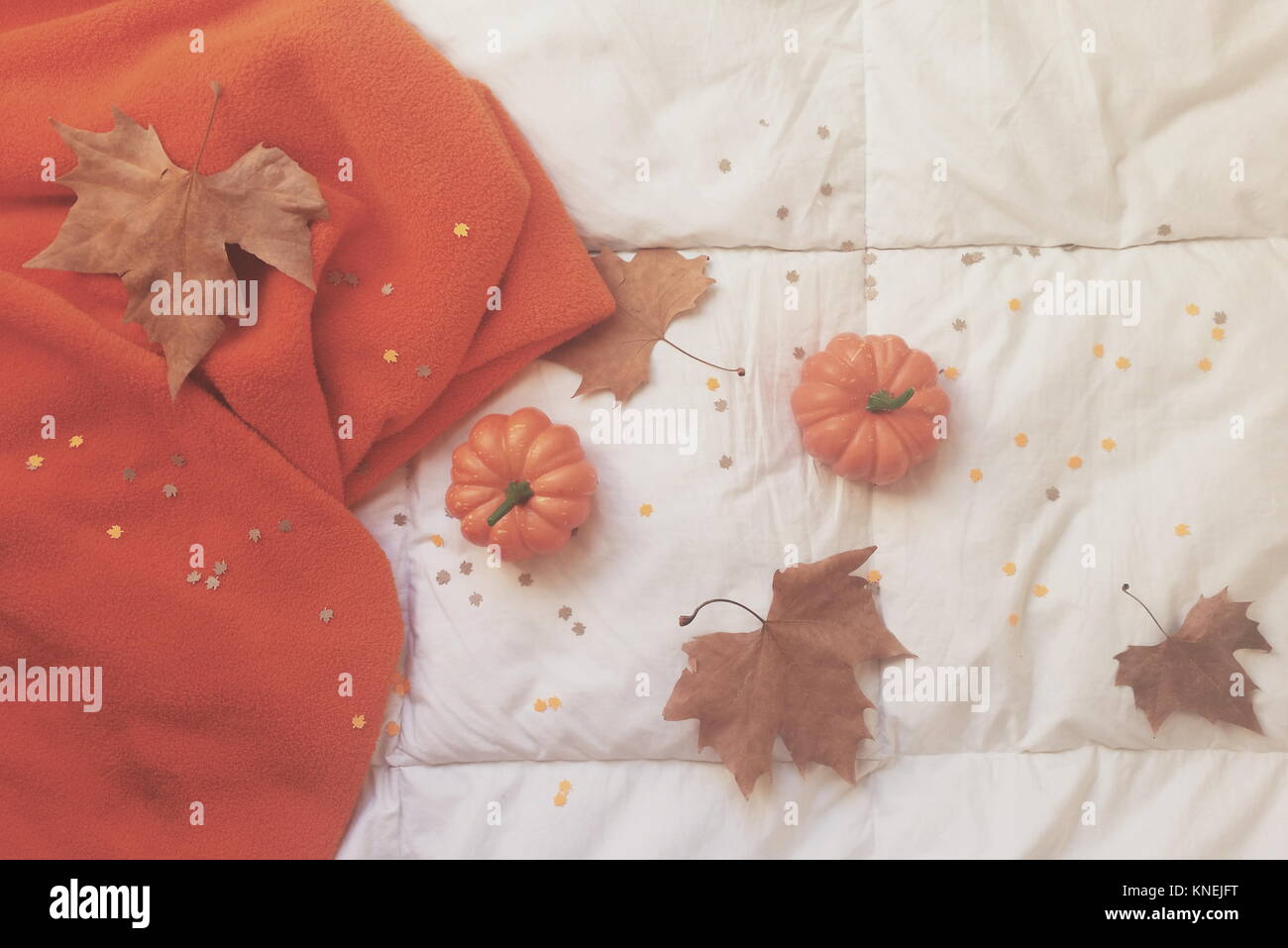 Les feuilles d'automne, les citrouilles et les confettis sur tissu Banque D'Images