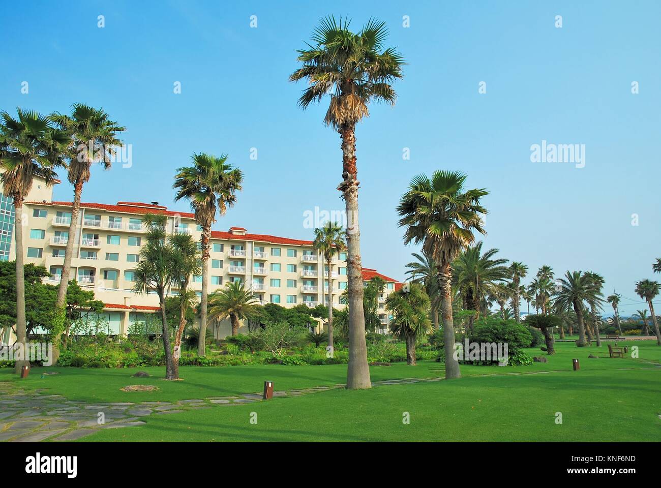 Scieries de cocotiers et resorts de luxe dans l'arrière-plan. Convient pour des concepts tels que les affaires et les voyages des cadres supérieurs, Tourisme, vacances et jours fériés Banque D'Images