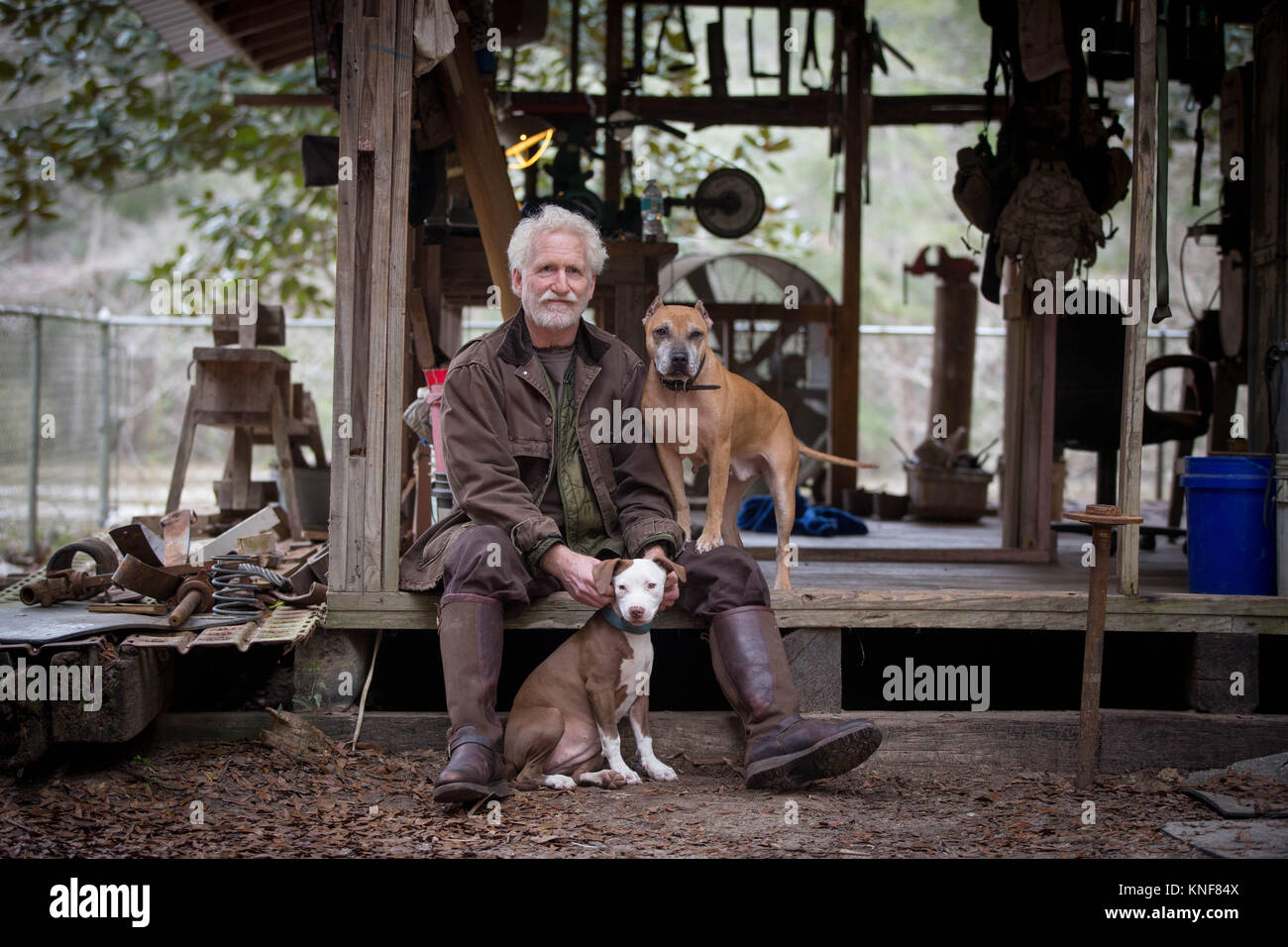 L'homme avec les chiens de travail en bois par hut Banque D'Images