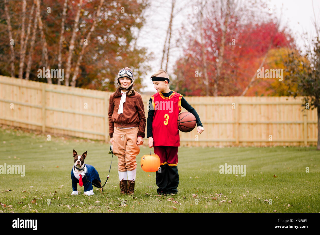 Portrait of boy, soeur jumelle et boston terrier wearing Halloween costumes in garden Banque D'Images