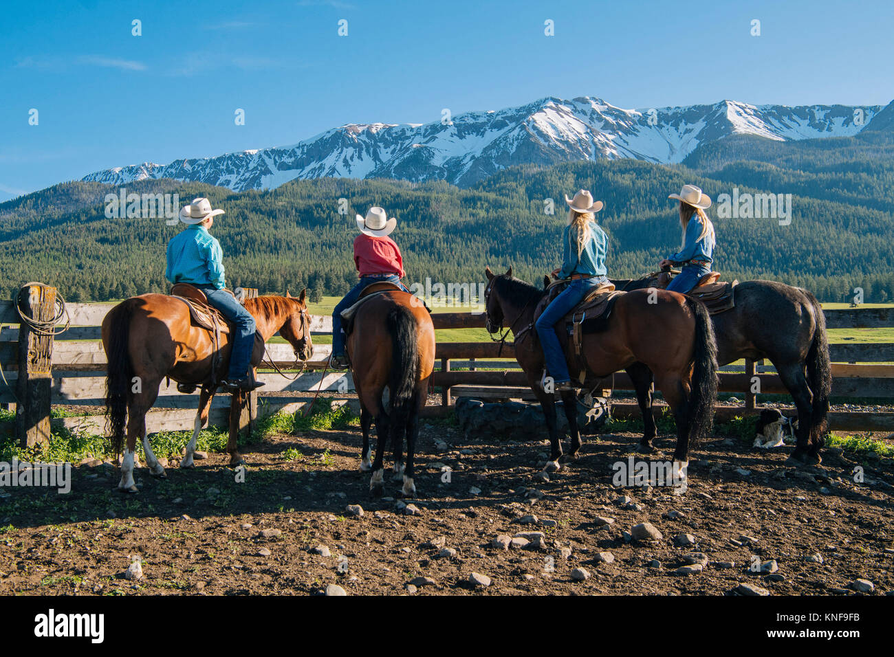 Vue arrière de cowboys et cowgirls à cheval, Enterprise, Oregon, United States, Amérique du Nord Banque D'Images